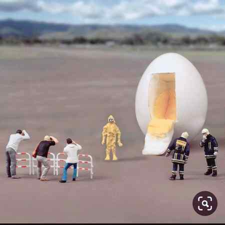 Tinny world spaceship egg hmmm