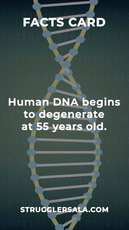 Do you know that about human DNA