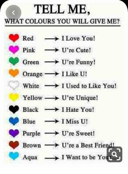 Tell me ... Kn sa dl dogy ??🙈🙈