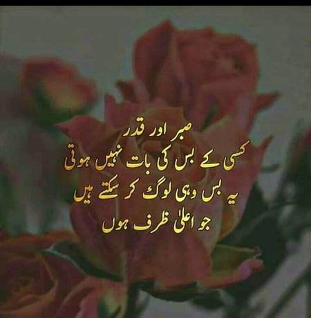 Bilkul sai 👍👍