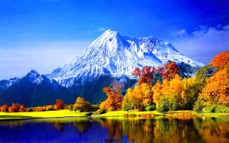 Assalam o Alaikum all 🌸🌺🏵️🌷🌷💐🍎🌸🥀🌹🌹🌸🥀😃🌹