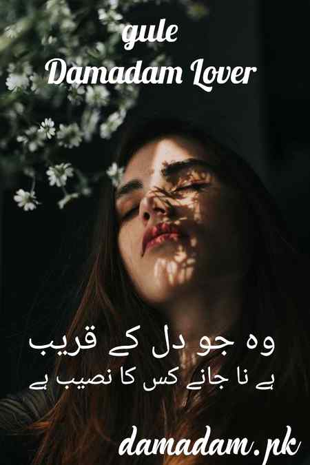 gule💞Damadam Lover💕🔥