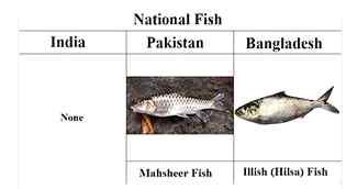 National fish