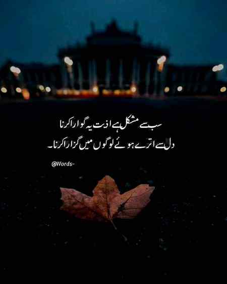 Dil sa utary howy logo ma guzra krna 😑😑😑