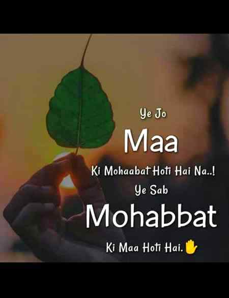 Assalam o Alikum right naaa😘😘😘😘misss u maaamaaa jani