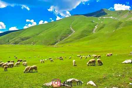 Beauty of Upper Dir Jaz banda ❤❤❤