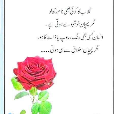 Beautiful Line ❣️❣️❣️