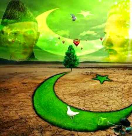 💚💚💚🏫🏫🏫💚🏫💚