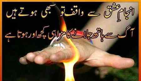 hlo friends