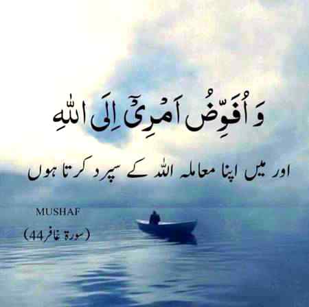 Allah pak behtr kry gy😇