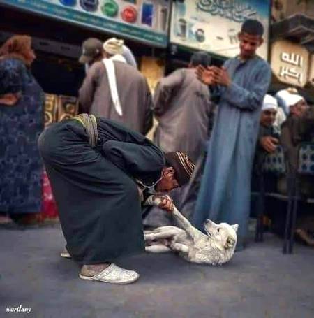 پھرتے ہیں میر خوار کوئی پوچھتا نہیں

اس عاشقی میں عزتِ سادات بھی گئی