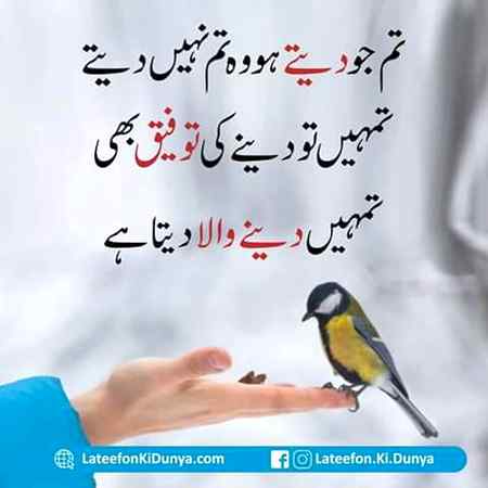 Yessssss. .....