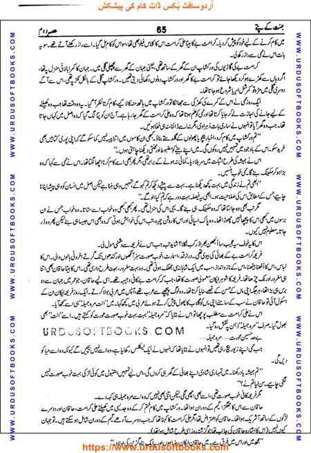 Title = Jannat kay patay.
Writer = Nimra Ahmed.
Part = 2
Page = 65