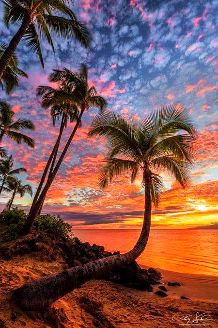 Sun set view...🔥🔥❤️