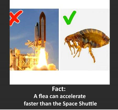 Did you know?