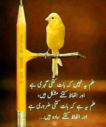 hlo friends