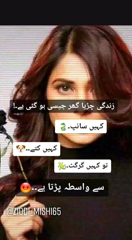 Bilkul 💯💯💯