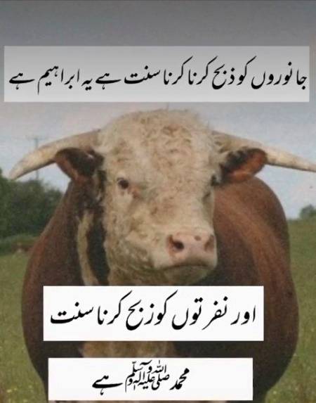 🌹🌹اچھا انسان معافی مانگ بھی جلدی لیتا ہے🌹🌹 اور معافی دے بھی جلدی دیتا ہے🌹🌹

عیدِ قربان احساس کا دوسرا نام ہے 🌹 اپنا اور اپنے گرد و نواح لوگوں کا خیال رکھیں🌹🌹 شاد رہیں,  آباد رہیں... 🌹بہت ساری خوشیاں منائیں 🌹