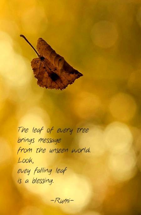RUMI'S WORDS