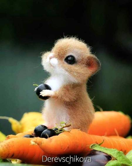 Little stinker