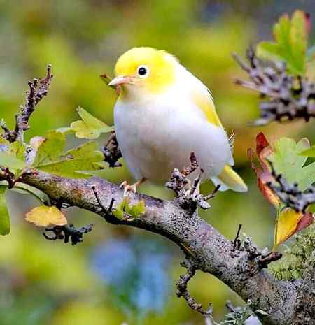 💕💕💓💓❤❤💐💘💐