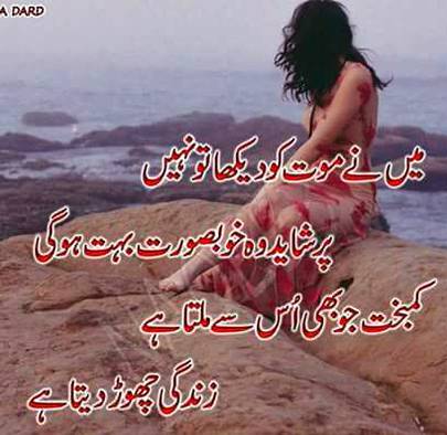 KOIE HY..G