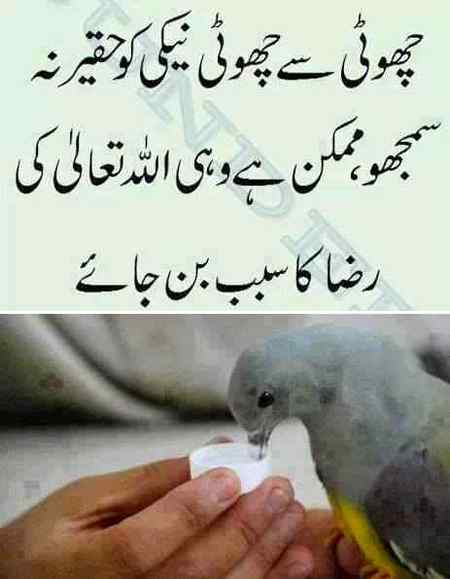 So sweet