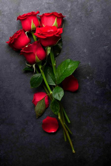 خزاں کی رت میں گلاب لہجہ بنا کے رکھنا کمال یہ ہے