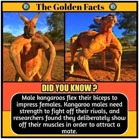Did you know