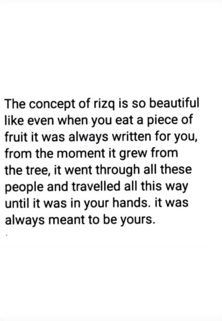 Concept of rizq
