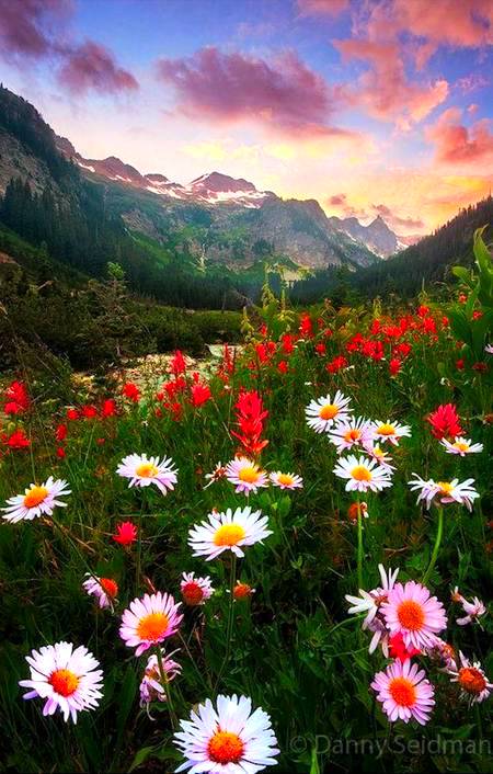Amazing Mountain view!