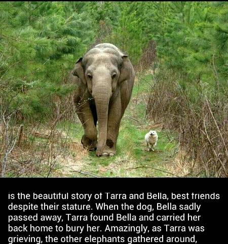 Did you know