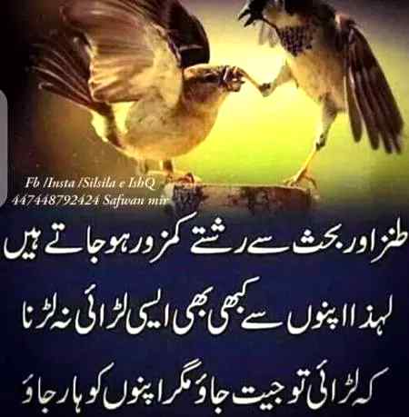 میں نے ماضی کے دریچوں کو مقفل تو کیا لیکن بھلایا ہوا شخص بڑی شدت سے یاد آتا ہے 🔥 🔥💔