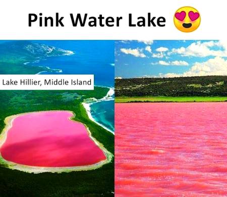 Pink water