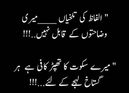 الفاظ کی تلخیاں میری وضاحتوں کے قابل نہیں  میرے سکوت کا تھپڑ ہی کافی ہے ہر گستاخ کے لئے