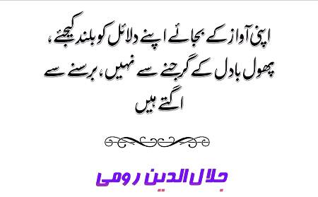 🌹🌹🌹صلی اللہ علی حبیبہ محمد نور من نوراللہ وعلی آلہ واہل بیتہ وعترتہ وازواجہ وصحبہ وجدہ وذریتہ و کل امتہ وبارک وسلم کثیراً کثیرا و دائماً ابدا 🌹🌹🌹