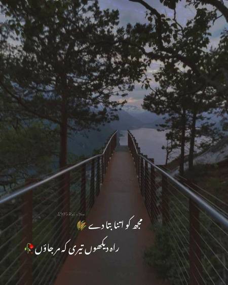 💔,¯\_(ツ)_/¯💕╮(╯_╰)╭💕