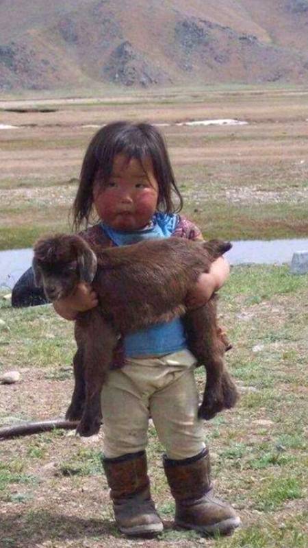 A little girl with a goat's baby💕💕