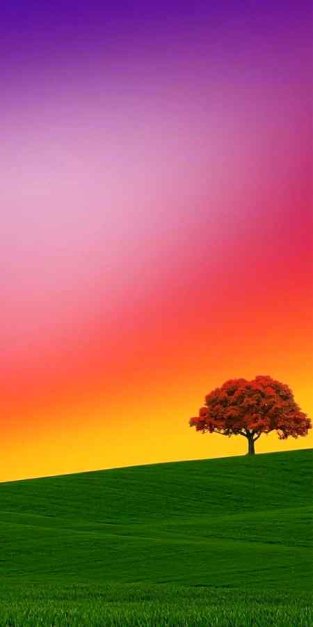 Evening🌻🌼💝❣️💟🌹