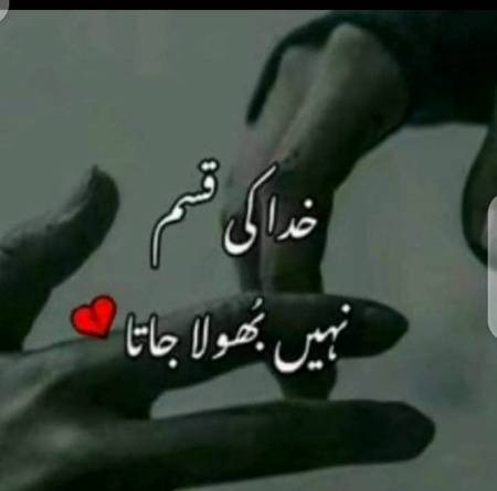 Han qasmy😪