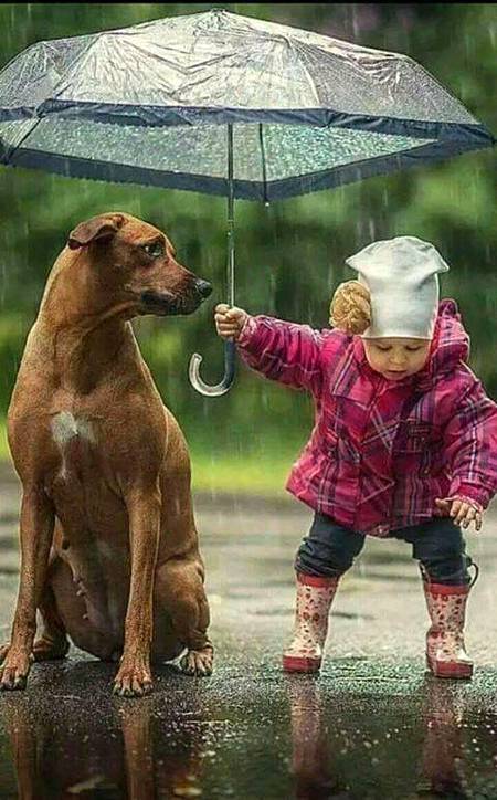 Photography🔥🔥