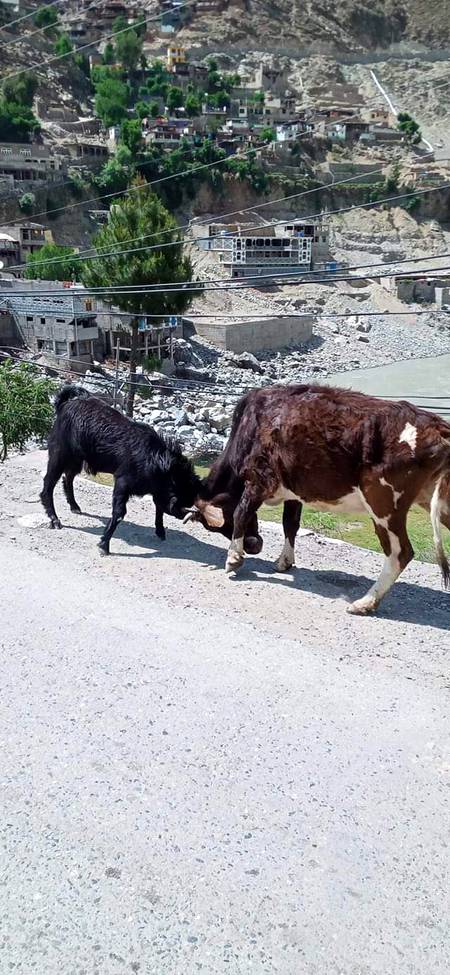 ارے دوستو دنیا بدل گی