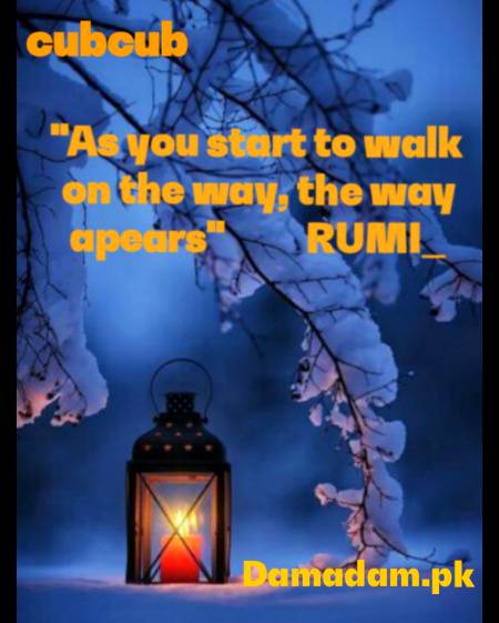 Rumi's words