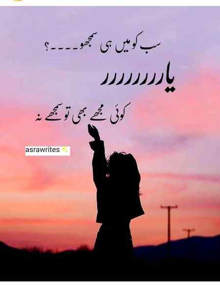 Yhn sb smjhdar he itny mere elawa 😒😏😞