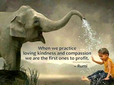 RUMI'S WORDS