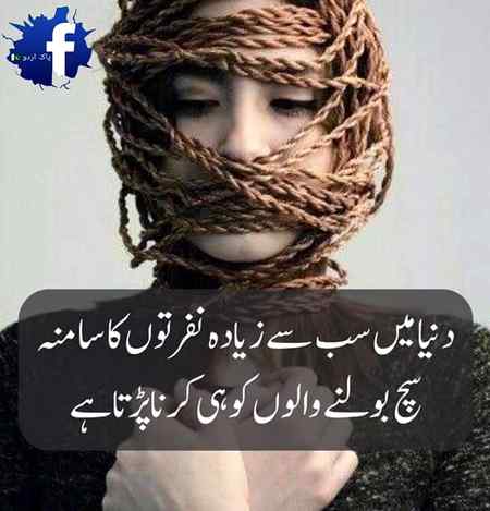 hlo friends