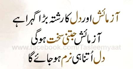 🍂🌹🌷🍁 اَللّٰهُ اَکْبَر اَللّٰهُ اَکْبَر، لَا اِلٰهَ اِلاَّ اللّٰهُ وَاللّٰهُ اَکْبَر، اَللهُ اَكْبَرْ وَِللهِ الْحمْدُاَللّٰهُ اَکْبَرکَبِیْرًا وَالْحَمْدُ ِلِلهِ کَثِیْرًا وَ سُبْحَانَ اللهِ بُکْرَةً وَّاَصِیْلاً🌷🌹🍂🍁
🌹🌹🌹صلی اللہ علی حبیبہ محمد نور من نوراللہ وعلی آلہ واہل بیتہ وعترتہ وازواجہ وصحبہ وجدہ وذریتہ و کل امتہ وبارک وسلم کثیراً کثیرا و دائماً ابدا 🌹🌹🌹