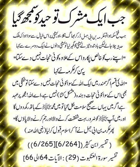 جب ایک مشرک توحید کو سمجھ گیا