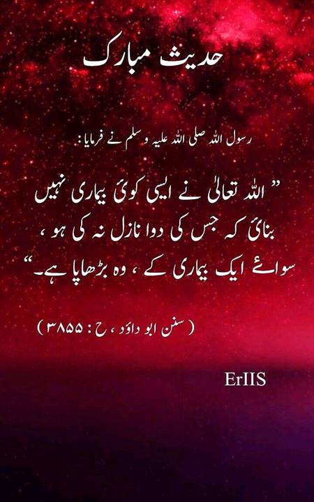 Hadees.E.Nabvi S.A.W