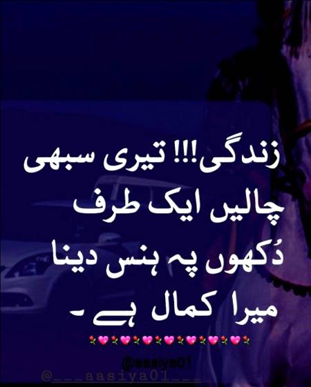 Kamal hai🔥🔥❤✌👆👍👌